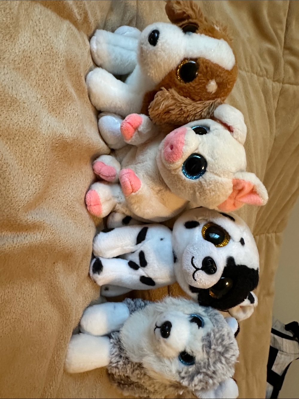 TyPlush Animal Lot - Assorted White, Pink, Brown Toys